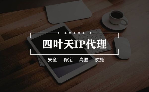 【新余代理IP】如何快速搭建代理IP？怎么检查代理的效果？