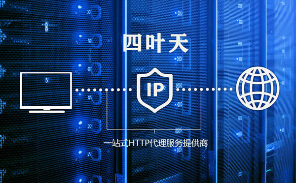 【新余代理IP】代理IP的主要用途和使用注意事项